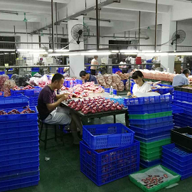 Color Painting Workshop